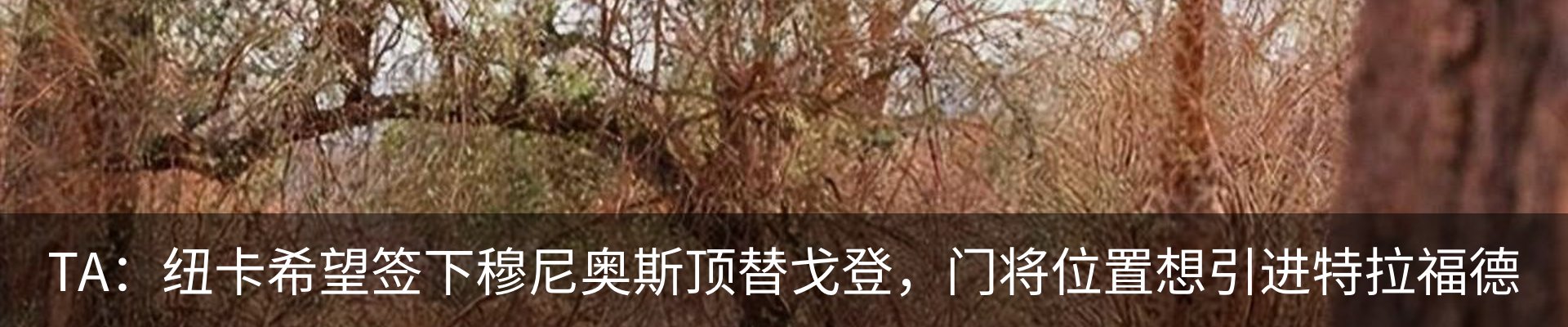 热点资讯